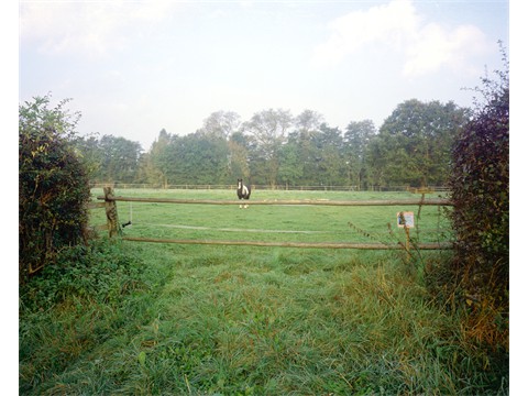 egxgg (3)